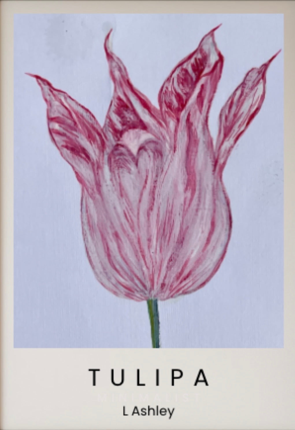 Botanicals - Prints