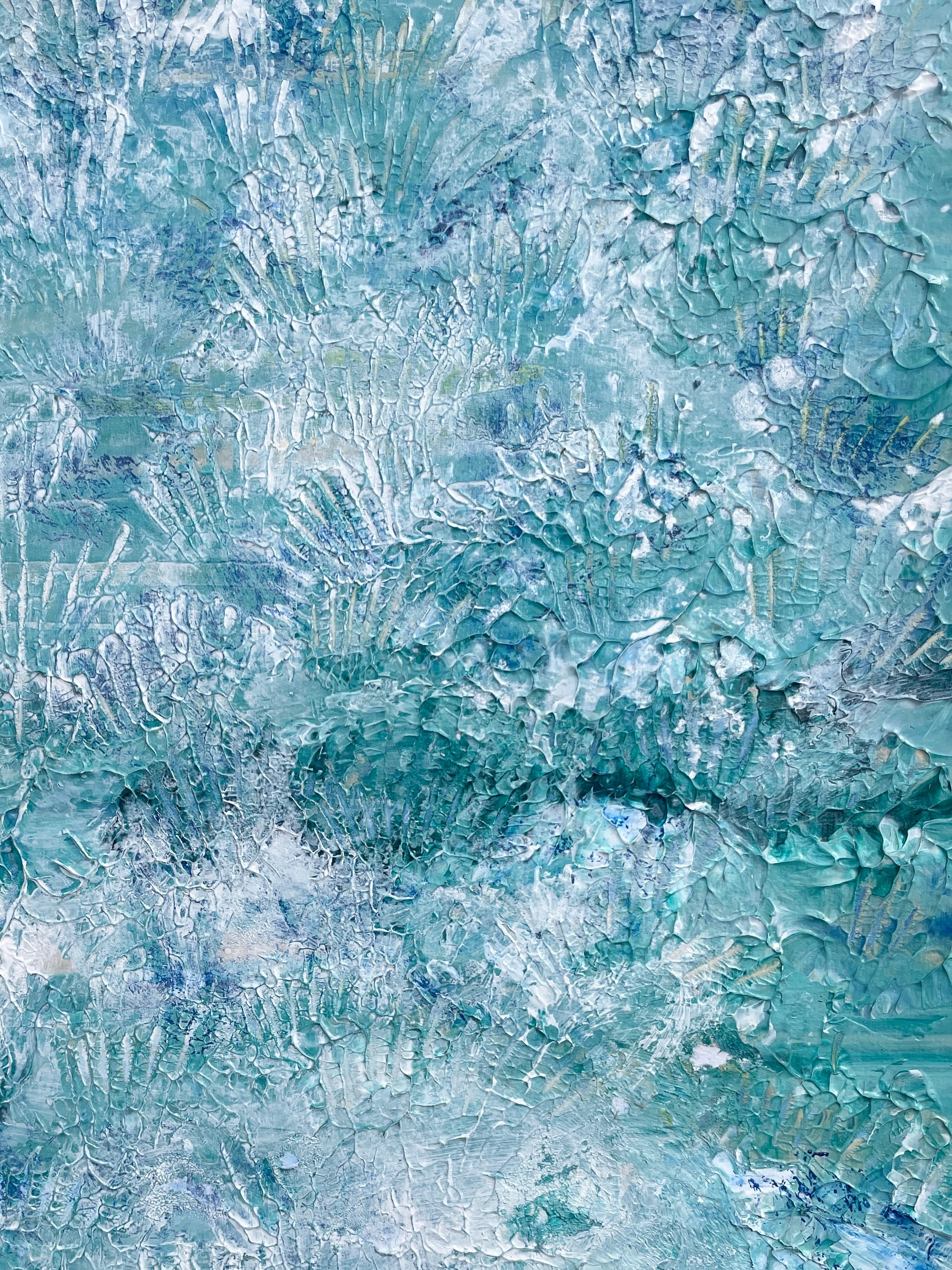Shells - Fine Art Print (Open Edition)