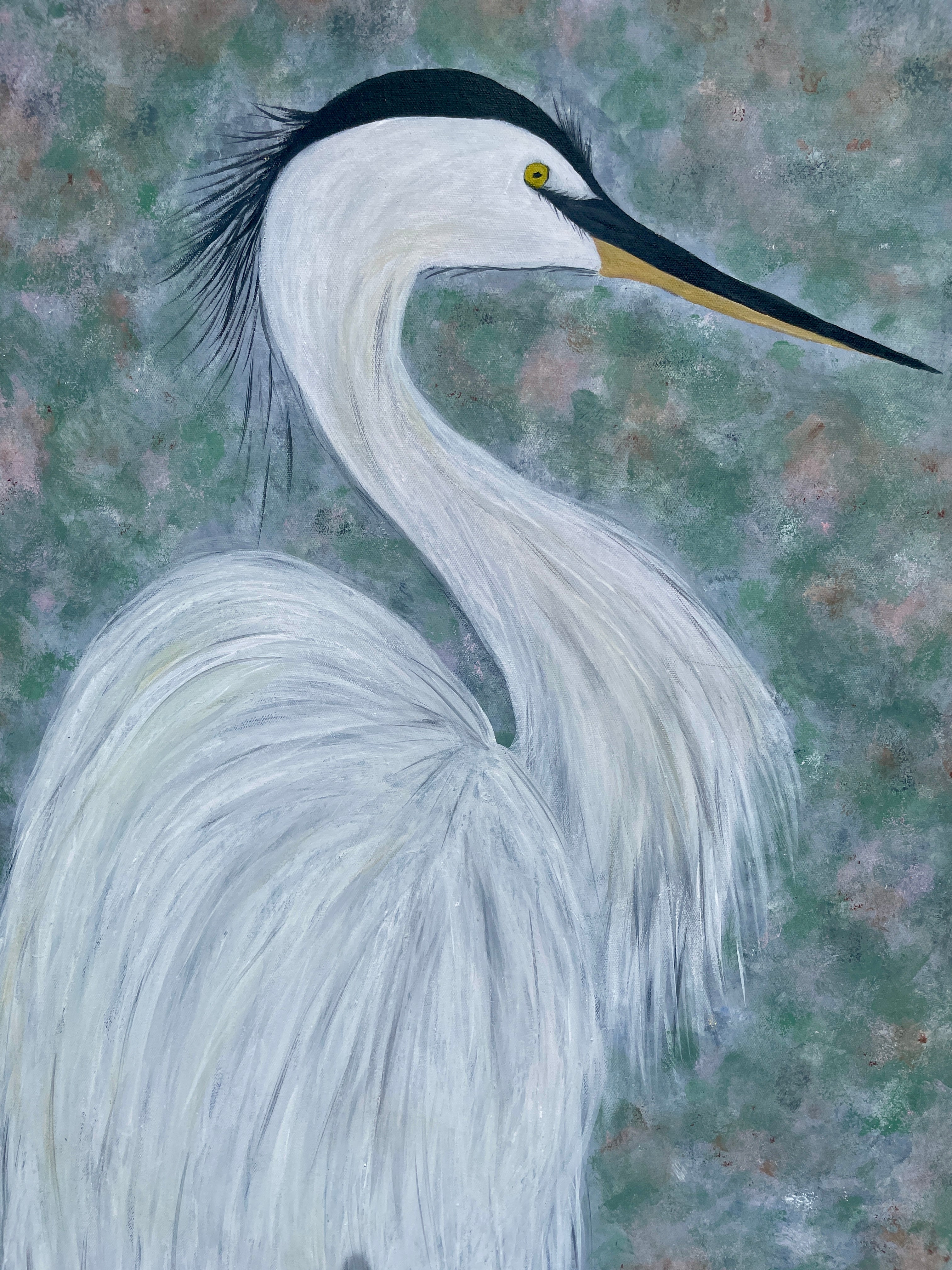 Ruffled White Heron