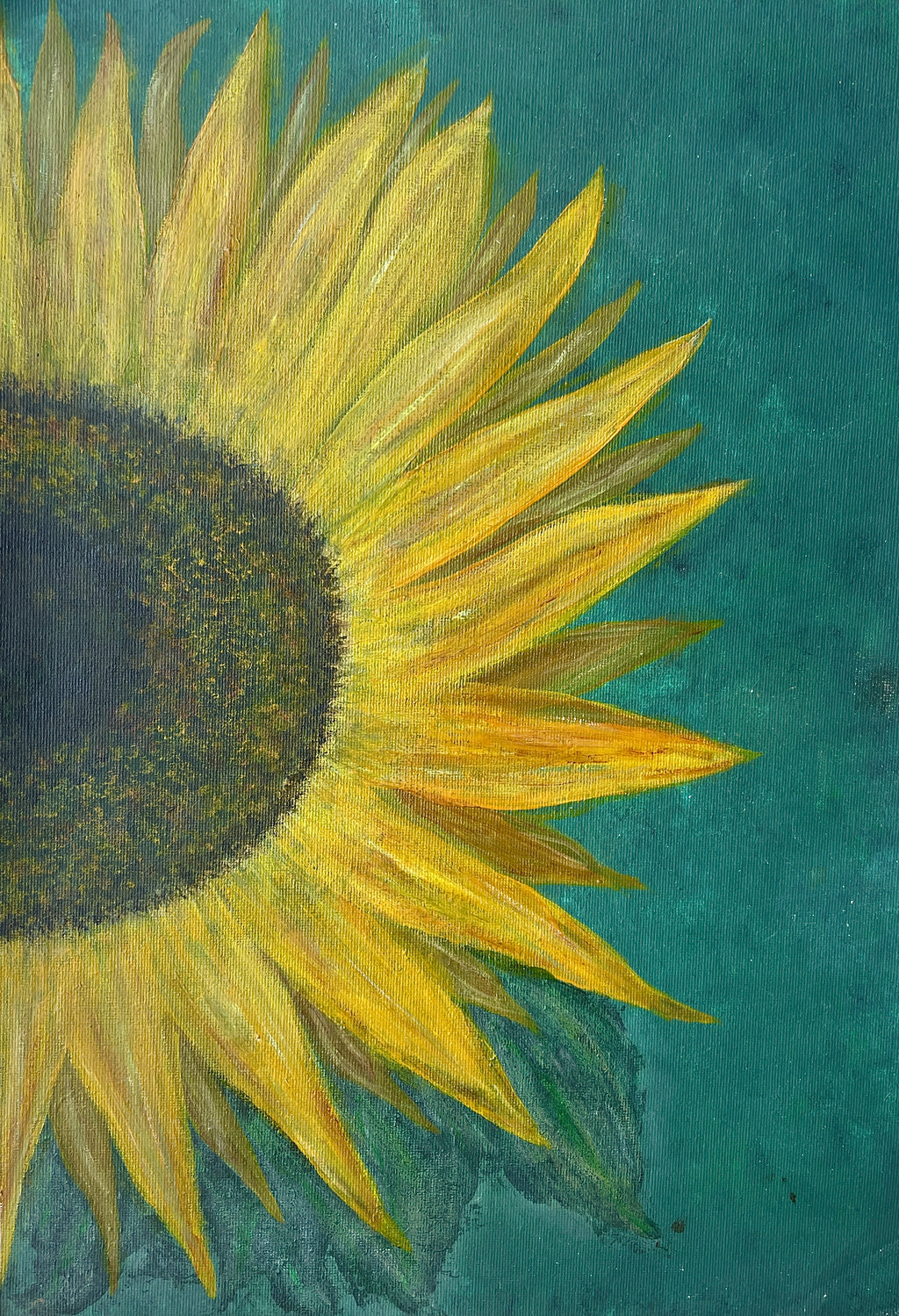 Soaking Sunflower - Fine Art Print (Open Edition)