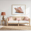 Conch Shell - Fine Art Print (Open Edition) (Copy)