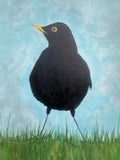 Blackbird