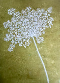 Spray